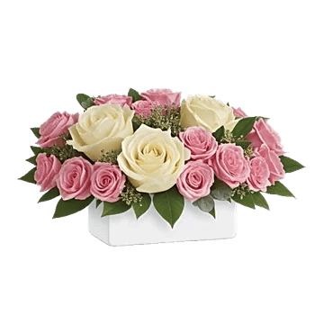 Delicate Petal Cascade