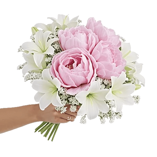 Peony Petal Harmony