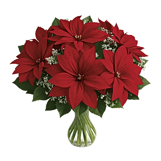 Crimson Blossom Harmony