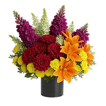 Petal Radiance Bliss