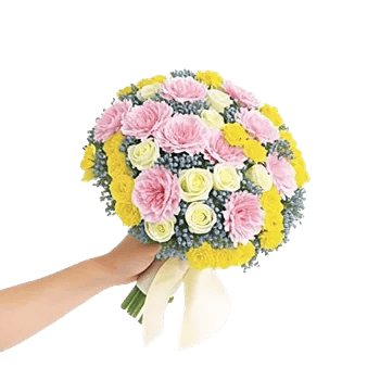 Pastel Pink Roses