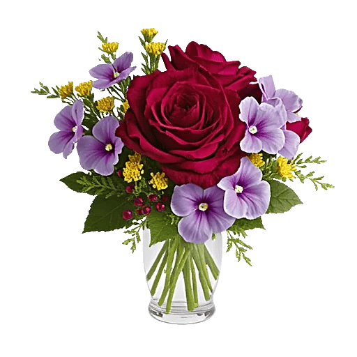 Radiant Rose Symphony