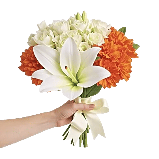 Graceful Lily Display