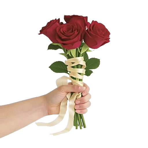 Crimson Rose Elegance