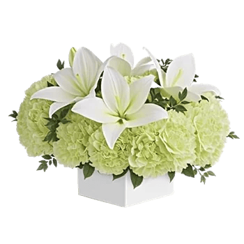 Graceful Lily Display