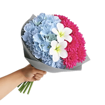 Serene Petal Harmony