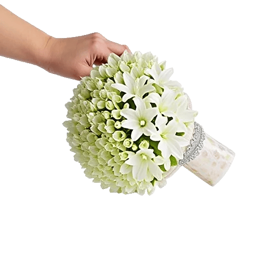 Delicate Petal Cascade