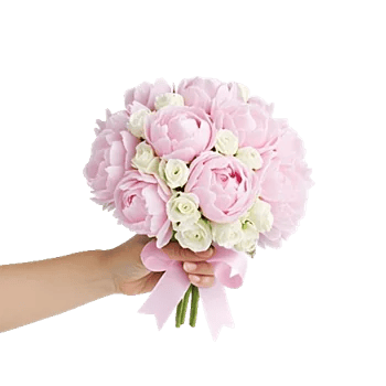 Peony Petal Harmony