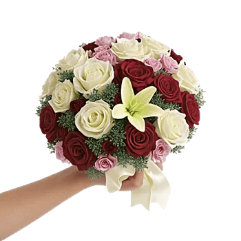 Blushing Rose Symphony