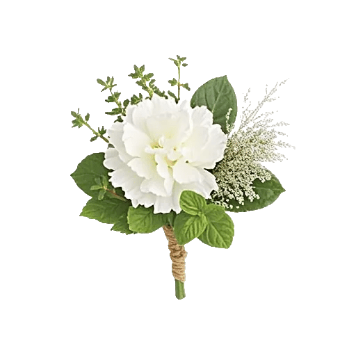 Minimalist White Orchids