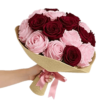 Peony Petal Harmony