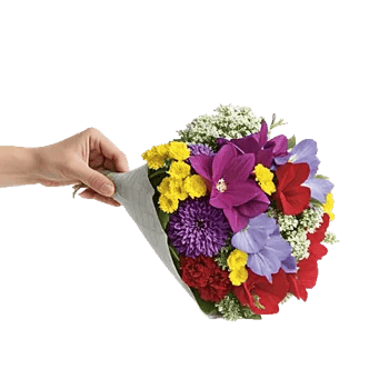 Blossom Harmony Display