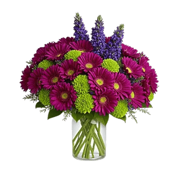 Graceful Lily Display