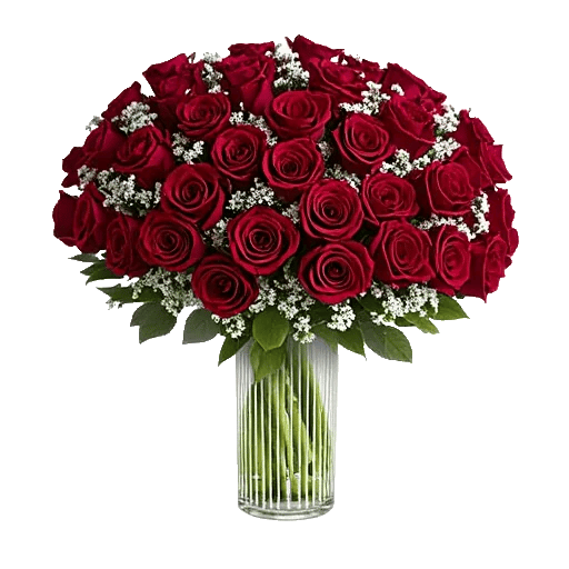 Crimson Rose Elegance