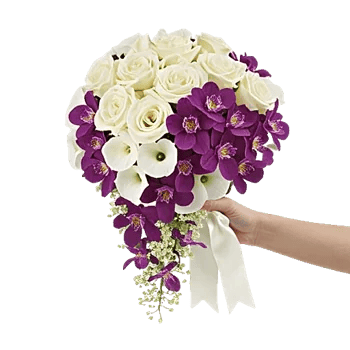 Orchid Bloom Cascade