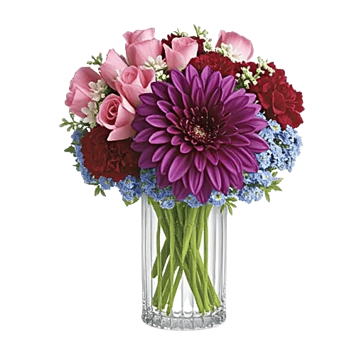 Petal Radiance Bliss