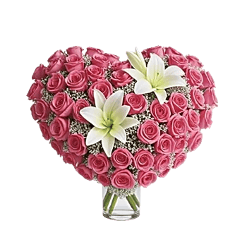 Blushing Rose Symphony