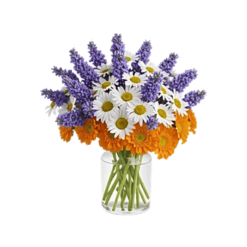 Lavender Bloom Grace