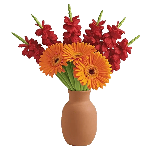 Radiant Petal Display