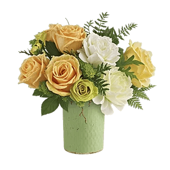 Ivory Blossom Radiance