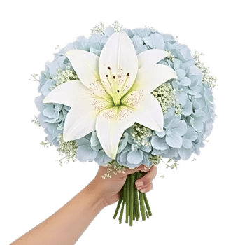 Blooming Serenity Display