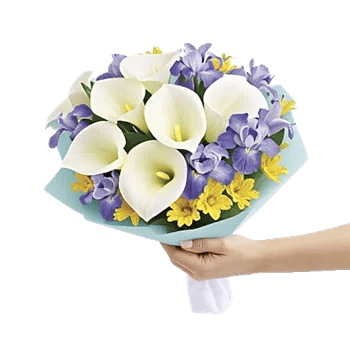 Elegant Calla Lilies