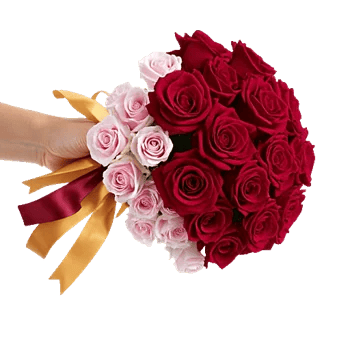 Crimson Rose Elegance