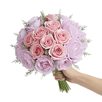 Pastel Pink Roses