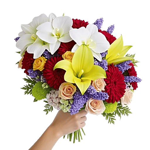 Modern White Orchids