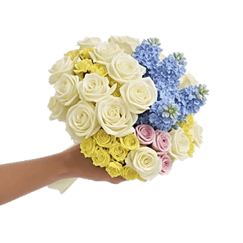 Blossom Petal Serenity