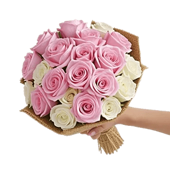 Pink Pastel Roses