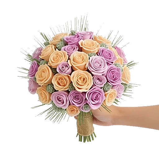 Pastel Pink Roses