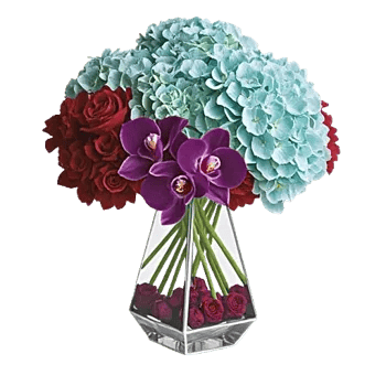 Ivory Blossom Radiance