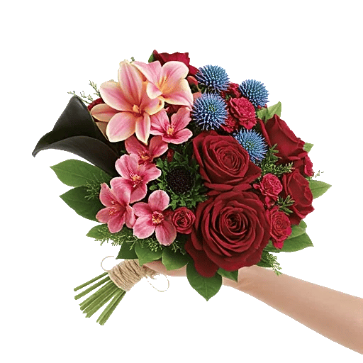 Elegant Calla Lilies