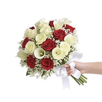 Ivory Garden Grace