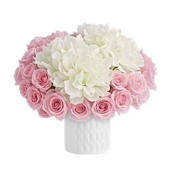 Pink Pastel Roses