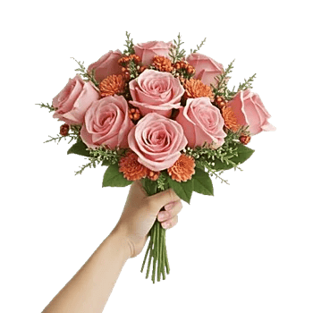 Pastel Pink Roses