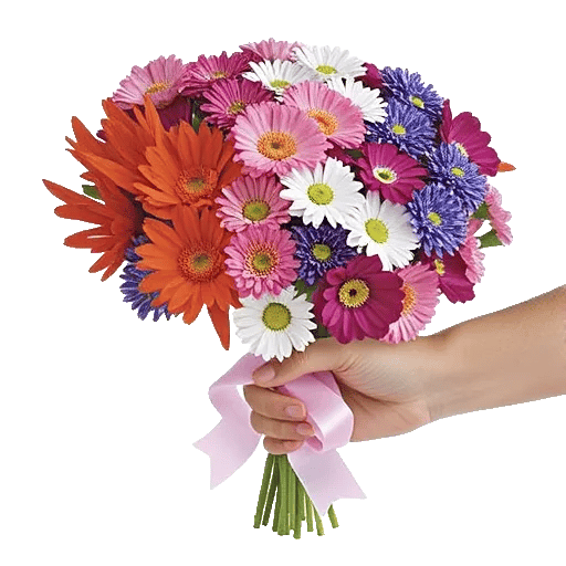 Petal Harmony Bliss