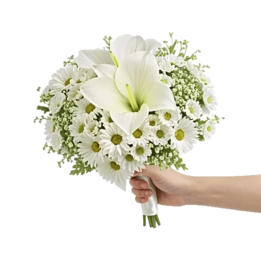 Ivory Garden Grace
