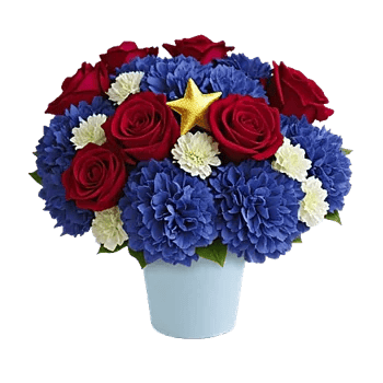 Crimson Rose Elegance