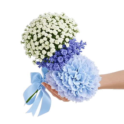 Serene Petal Harmony