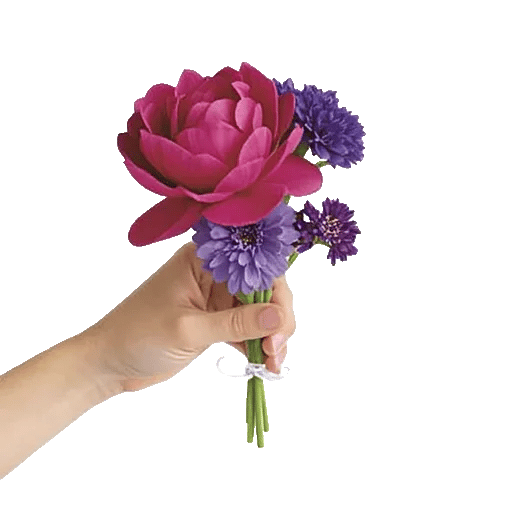 Peony Petal Harmony