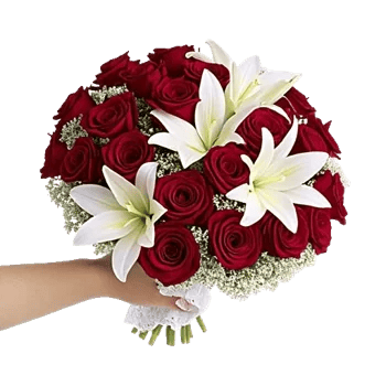 Crimson Rose Elegance