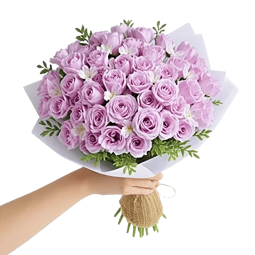 Petal Softness Display