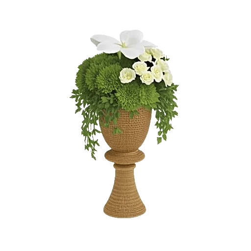 Ivory Blossom Radiance