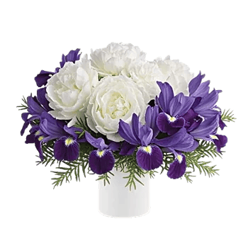 Ivory Blossom Radiance