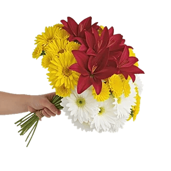 Crimson Blossom Harmony