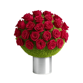 Glistening Rose Garden