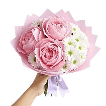 Peony Petal Harmony