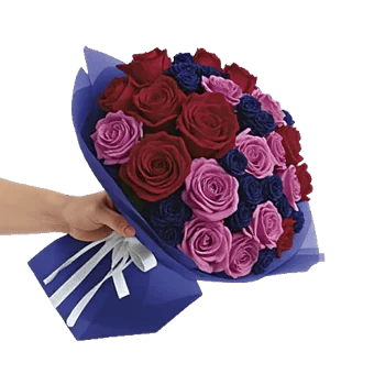 Elegant Blue Roses